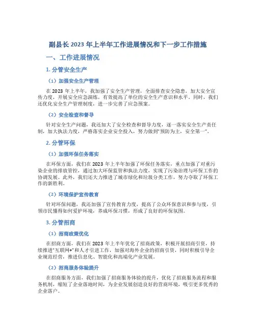 副县长2023年上半年工作进展情况和下一步工作措施(分管安全生产 环保 招商 市场监管 供电)