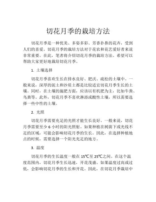 切花月季的栽培方法