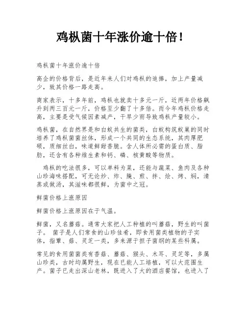 鸡枞菌十年涨价逾十倍!
