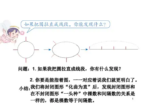 五年级上册植树问题之封闭图形ppt课件