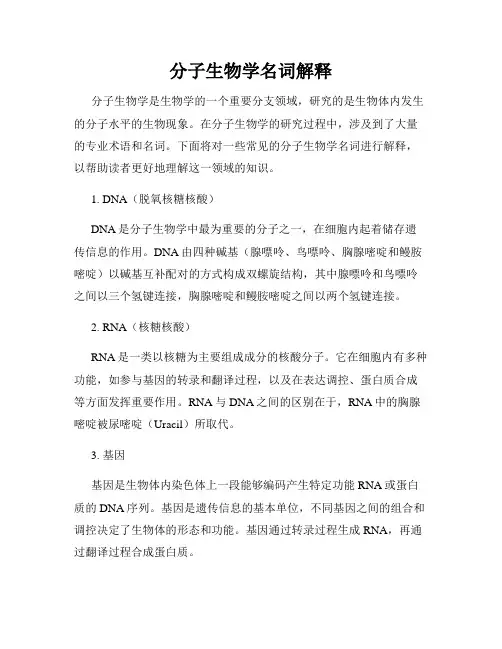 分子生物学名词解释
