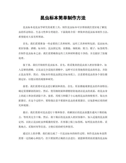 昆虫标本简单制作方法