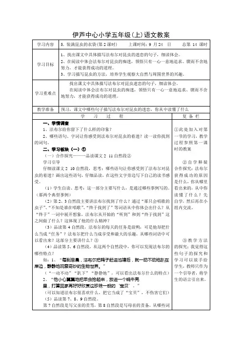 装满昆虫的衣袋2