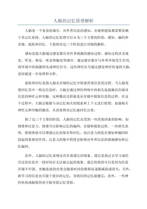 人脑的记忆原理解析