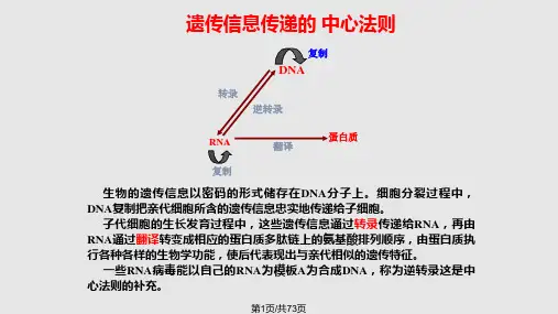 基因转录实用PPT课件PPT课件