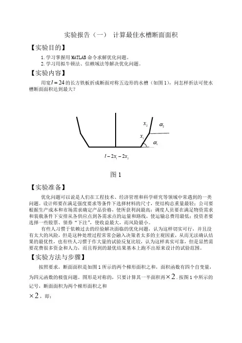 matlab数学实验报告(含程序代码)