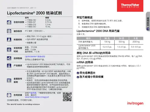 Invitrogen Lipofectamine