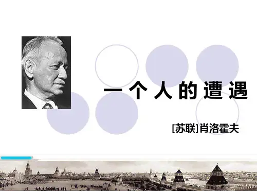 《一个人的遭遇》(节选)课件
