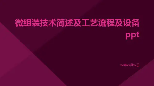 微组装技术简述及工艺流程及设备ppt