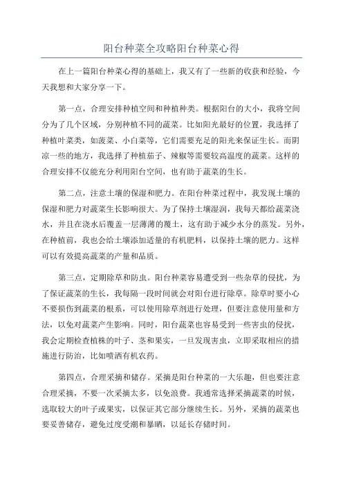 阳台种菜全攻略阳台种菜心得