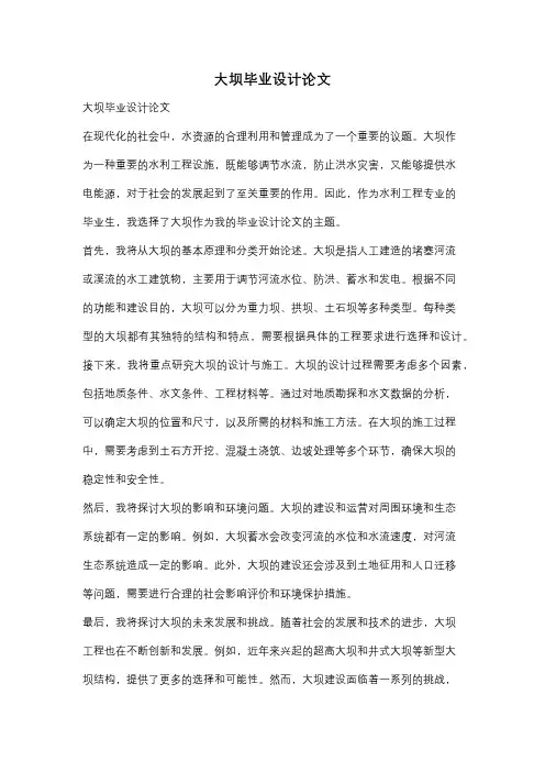 大坝毕业设计论文