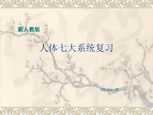 新人教版七年级生物下册复习《人体七大系统》 (共49张)