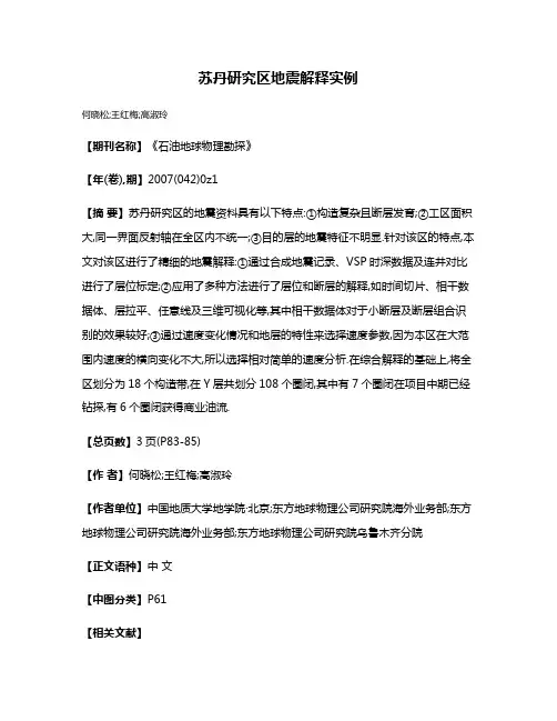 苏丹研究区地震解释实例