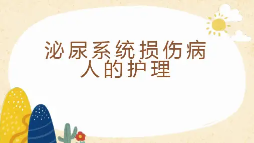 泌尿系损伤病人的护理