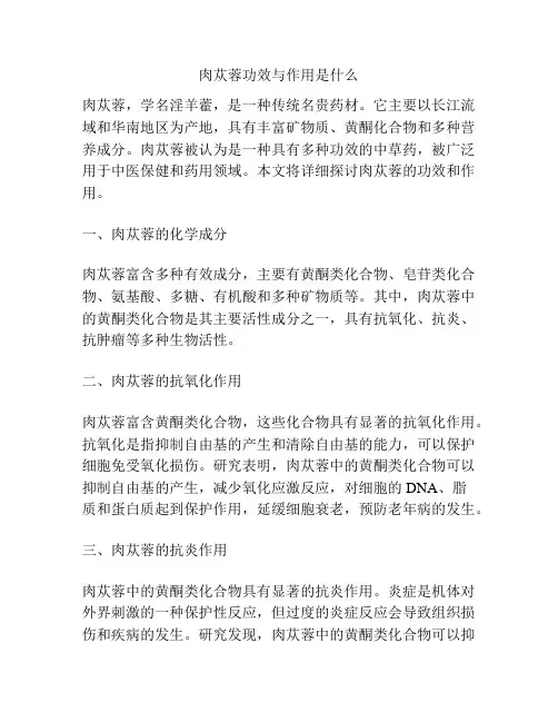 肉苁蓉功效与作用是什么