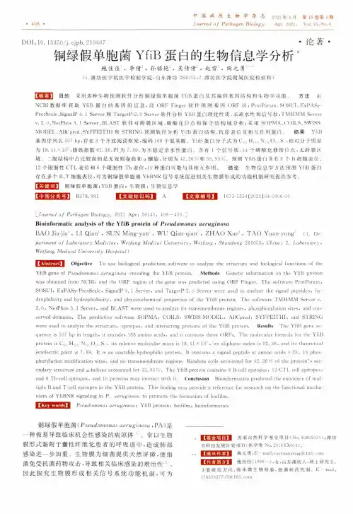 铜绿假单胞菌YfiB蛋白的生物信息学分析