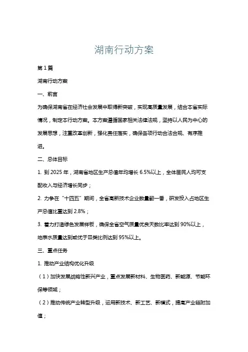 湖南行动方案