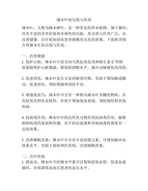 辣木叶的功效与作用