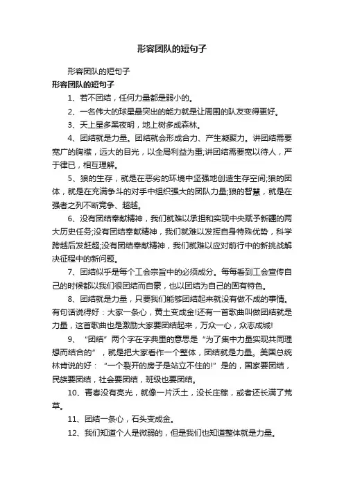 形容团队的短句子