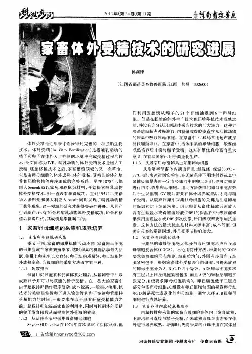 家畜体外受精技术的研究进展