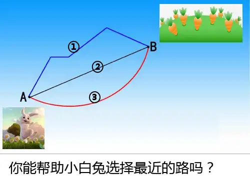 苏教版四年级数学上册《认识射线、直线和角》课件(公开课)