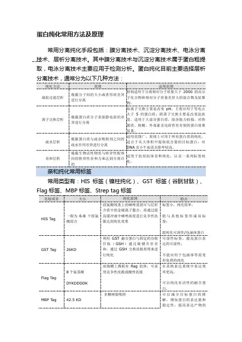 蛋白纯化常用方法及原理