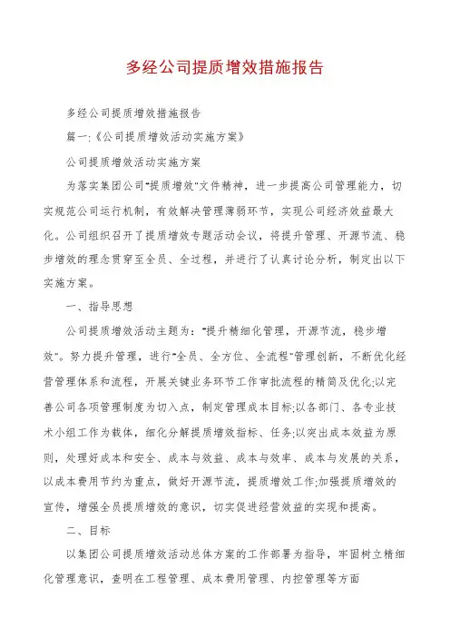 多经公司提质增效措施报告