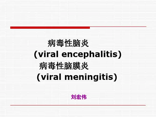 儿科病毒性脑炎ppt模板