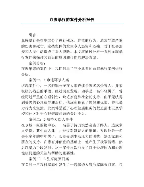血腥暴行的案件分析报告