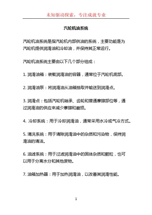 汽轮机油系统 (2)