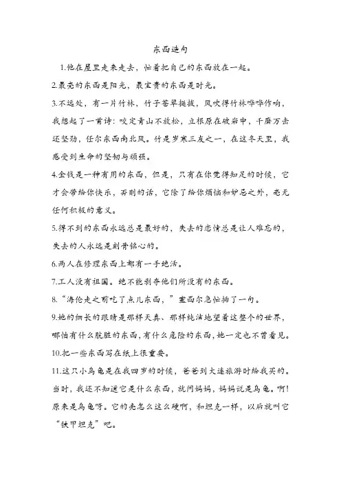东西造句 .doc