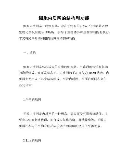 细胞内质网的结构和功能
