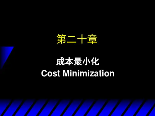 第20章-成本最小化