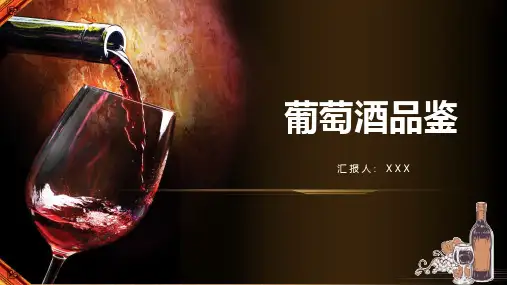画册风葡萄酒品鉴红酒篇介绍PPT课件资料