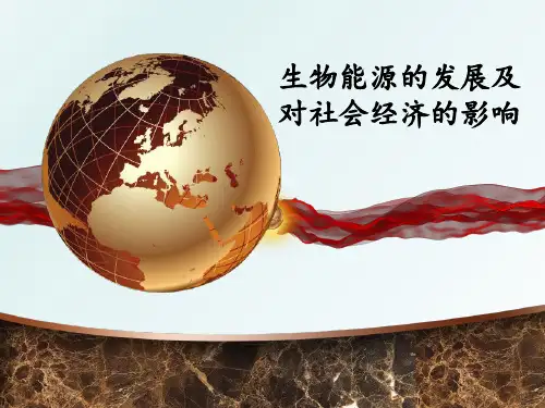 生物能源的发展及对社会经济的影响