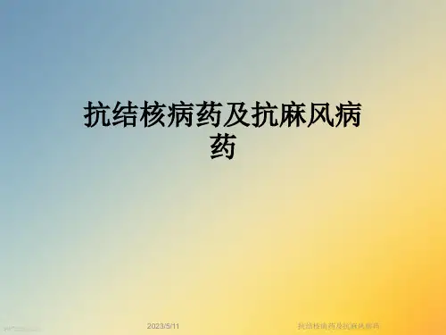 抗结核病药及抗麻风病药