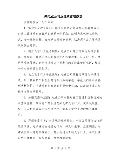 某电业公司反违章管理办法