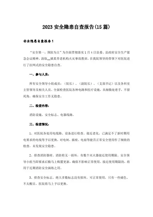 2023安全隐患自查报告(15篇)