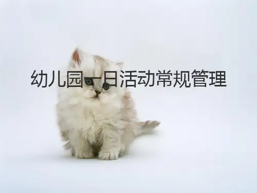 幼儿园一日生活常规管理培训课件
