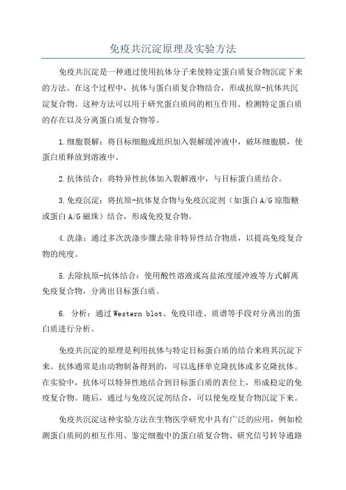 免疫共沉淀原理及实验方法