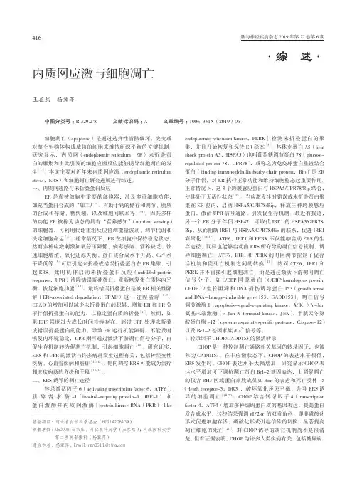内质网应激与细胞凋亡