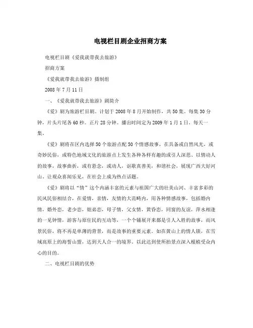 电视栏目剧企业招商方案