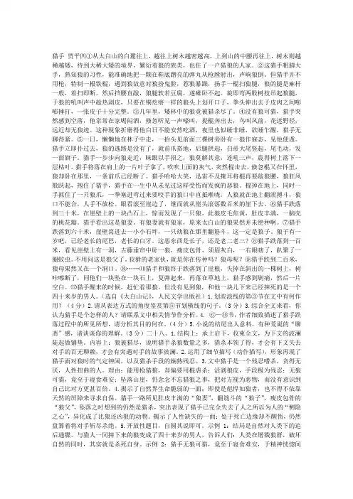 中考阅读理解《猎手》参考答案
