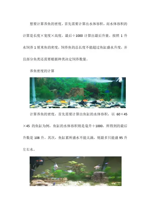 养鱼密度计算