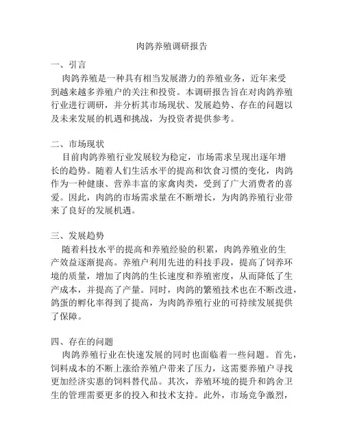 肉鸽养殖调研报告