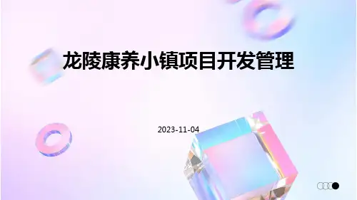 龙陵康养小镇项目开发管理