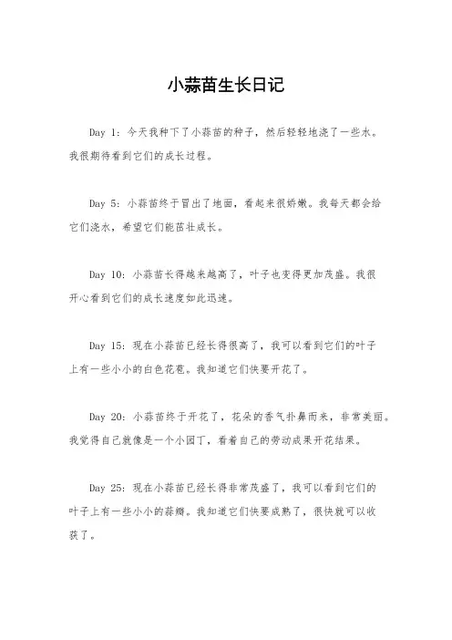 小蒜苗生长日记