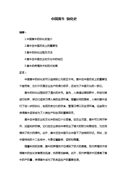 中国黄牛 驯化史