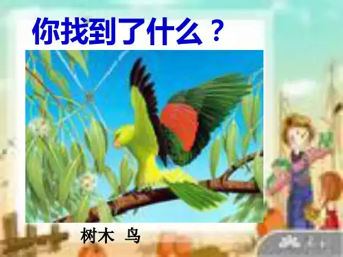 《寻找有生命的物体》