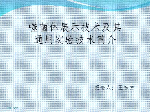 噬菌体展示技术和其通用实验技术简介课件PPT